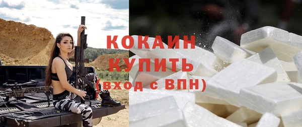 apvp Горняк