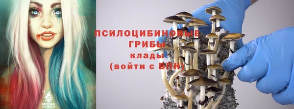 молекула духа Горно-Алтайск