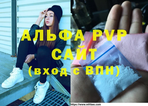 ПСИЛОЦИБИНОВЫЕ ГРИБЫ Гусиноозёрск
