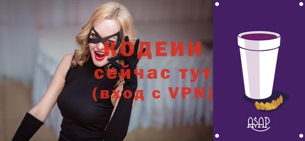 apvp Горняк