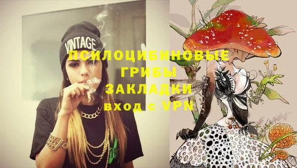 не бодяженный Гусев