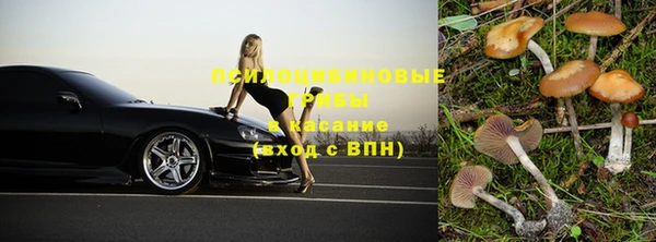 apvp Горняк
